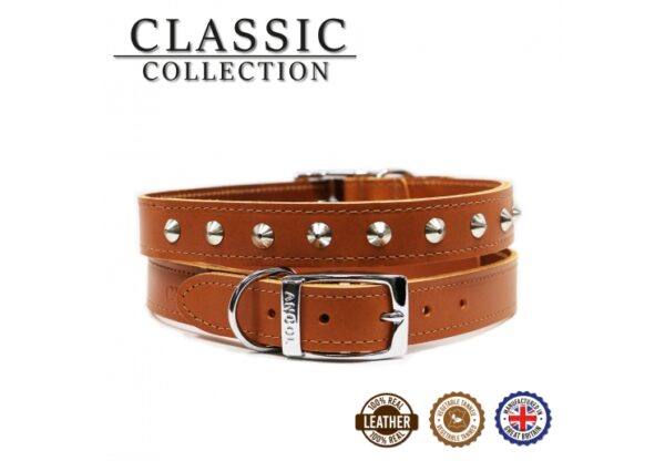 ancol classic collection