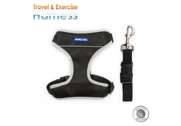 Exercise Harness - Black