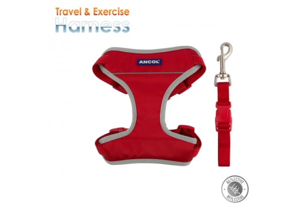 Exercise Harness - Red