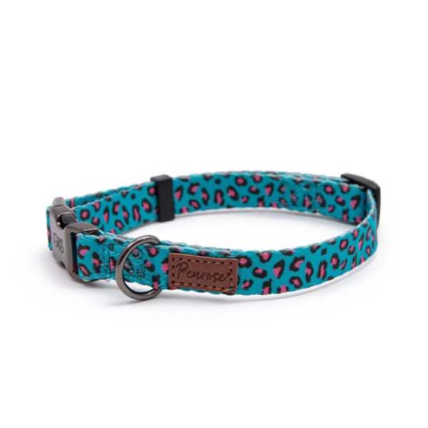 Great & Small Collar - Leopard Pink Spot