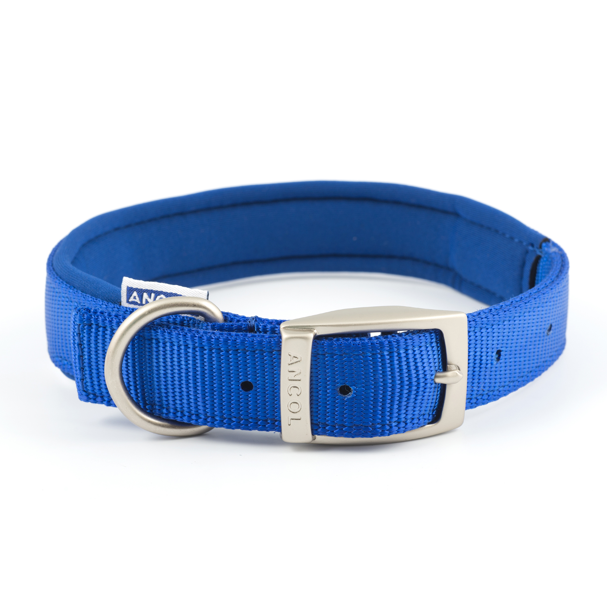 ancol blue dog collar