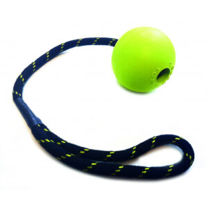 Indestructiball dog outlet toy