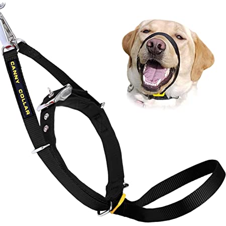 Pet stop dog sales collar